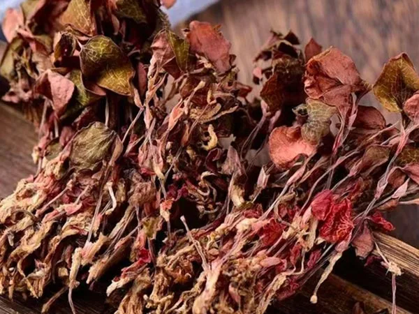 Getrockneter Anoectochilus Roxburghii in Spitzenqualität ist auf den Spezialmärkten erhältlich