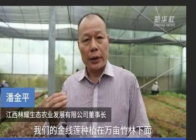 Pan Jinping, Vorsitzender der Jiangxi Linyao Ecological Agriculture Development Co., Ltd., interviewt von der Nachrichtenagentur Xinhua