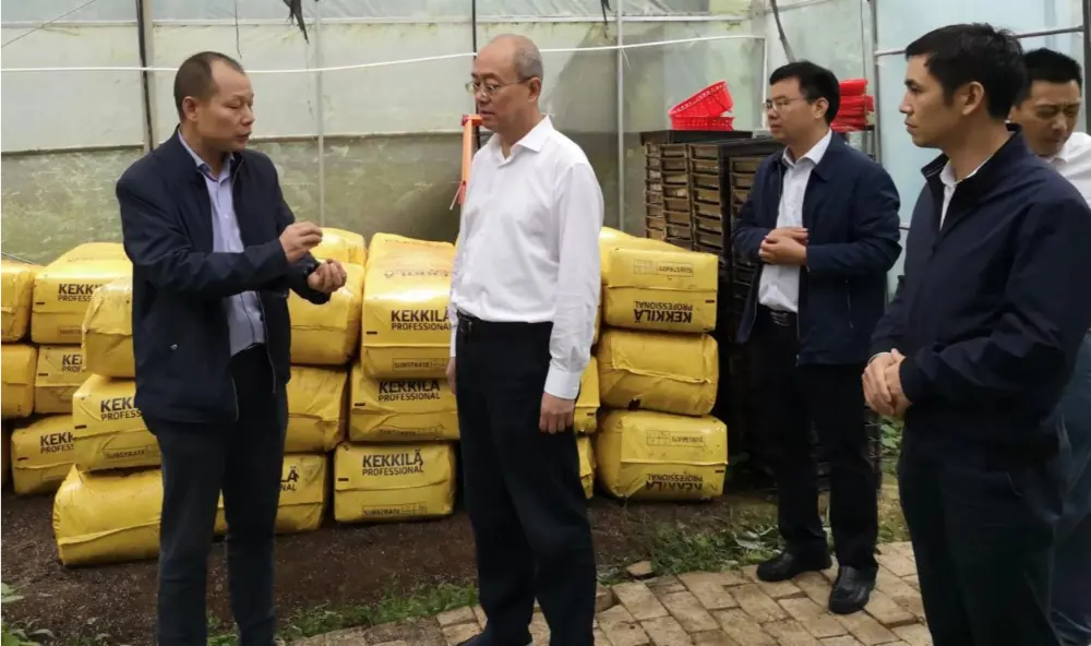 Xie Guanghua, Parteisekretär und Direktor der Provinzverwaltung für Traditionelle Chinesische Medizin von Jiangxi, führt Forschungen an der Anoectochilus-Pflanzbasis durch